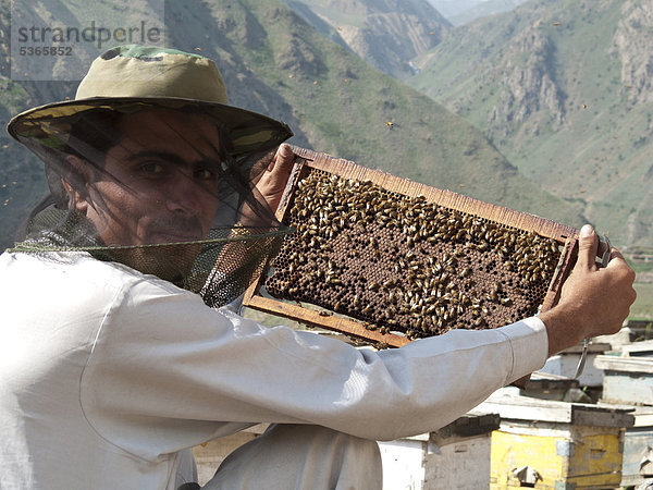 Einheimischer produziert auf traditionelle Weise Honig  in der Gegend südlich von Naran  Khyber Pakhtunkhwa Provinz  Pakistan  Südasien