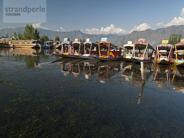 Hausboote auf dem Dal-See  beliebte Unterkunft für Touristen in Srinagar  Jammu und Kaschmir  Indien  Südasien
