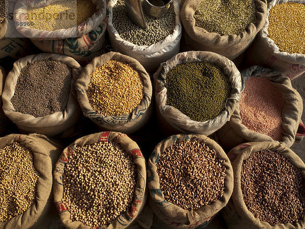 Verschiedene Sorten von Dal oder Dhal  Hülsenfrüchte  werden auf dem Gewürzgroßmarkt in Old Delhi verkauft  Indien  Asien