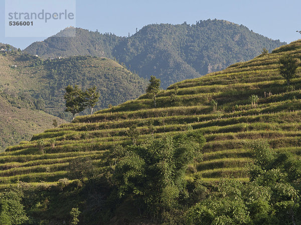 Terrassenfelder  die einzige Möglichkeit zum Anbau von Pflanzen in der hügeligen Region von Helambu  Nepal  Asien