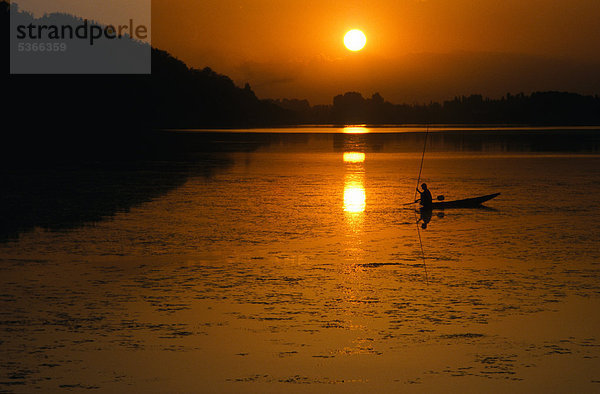 Sonnenuntergang über dem Dal-See in Srinagar  Jammu und Kaschmir  Indien  Asien