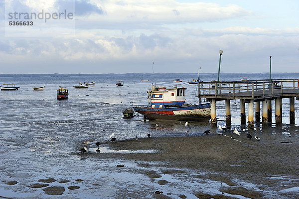 Fischerhafen  Pedra de Guaratiba  Bucht von Sepitiba  Rio de Janeiro  Brasilien  Südamerika