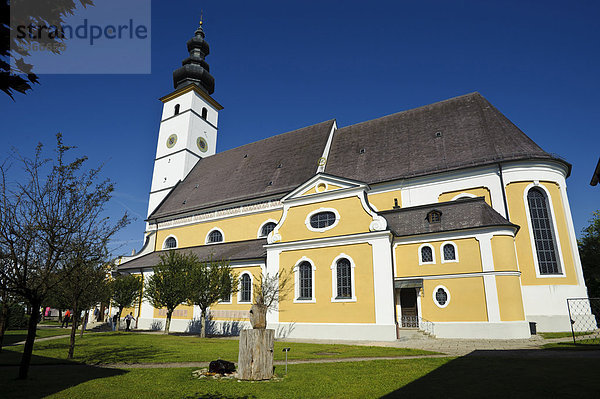 Pfarrkirche Sankt Martin  Waging  Oberbayern  Bayern  Deutschland  Europa