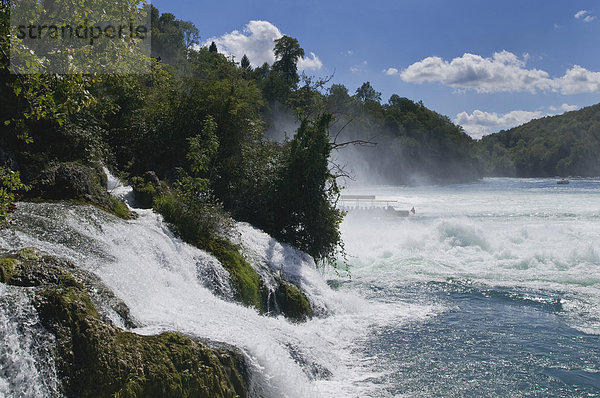 Rheinfall bei Schaffhausen  Wasserfall  Schweiz  Europa