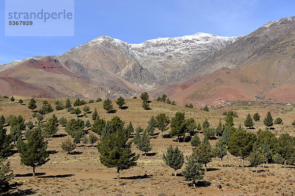 Gebirgslandschaft  Tizi-n-Tichka-Pass  Hoher Atlas  Marokko  Maghreb  Nordafrika  Afrika