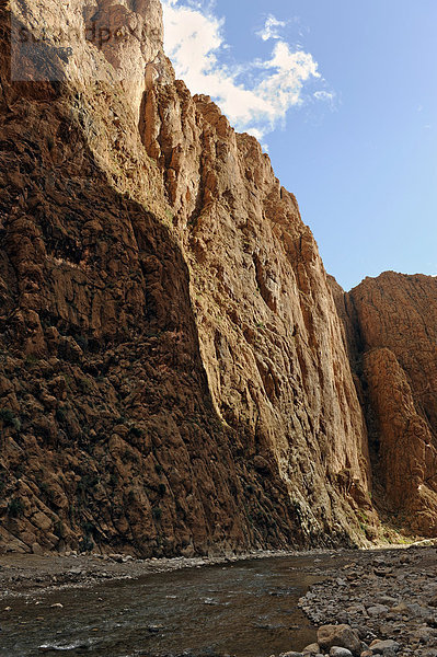 Gorge du Todra  Todra oder Todgha Schlucht  Atlasgebirge  nahe Tinerhir  Südmarokko  Marokko  Maghreb  Nordafrika  Afrika