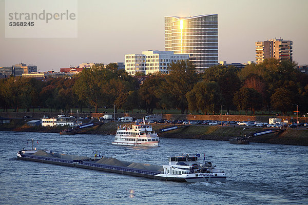 Rhein  Rheinschiffe  Fahrgastschiff  Rundfahrtschiff  Rheinufer  Skyoffice Büroturm  Altstadtufer  Düsseldorf  Rheinland  Nordrhein-Westfalen  Deutschland  Europa