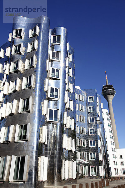 Neuer Zollhof  Gehry-Bauten  Architekt Frank O. Gehry  Medienhafen  Düsseldorf  Rheinland  Nordrhein-Westfalen  Deutschland  Europa  ÖffentlicherGrund