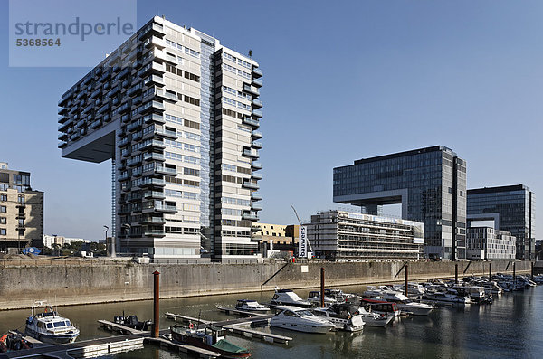 Kranhaus Pandion Vista mit Wohnungen  Rheinauhafen  Köln  Nordrhein-Westfalen  Deutschland  Europa
