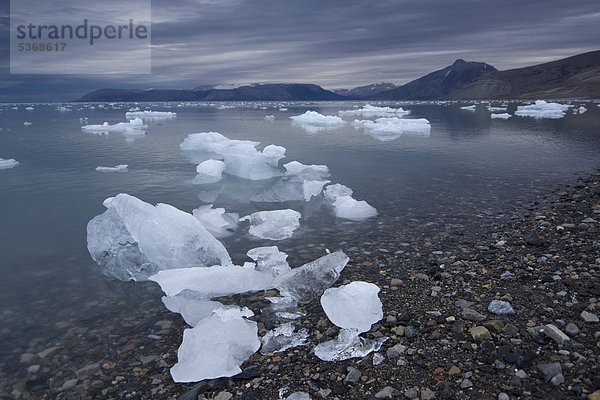 Eisschollen treiben an einem bewölkten Tag im Billefjord  Spitzbergen  Norwegen  Skandinavien  Europa