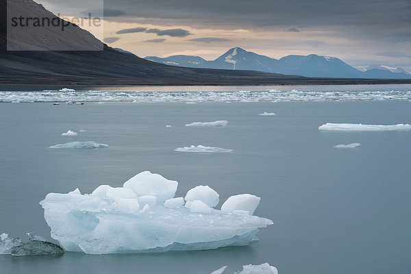 Eisschollen treiben an einem bewölkten Sommertag im Billefjord  Spitzbergen  Norwegen  Skandinavien  Europa
