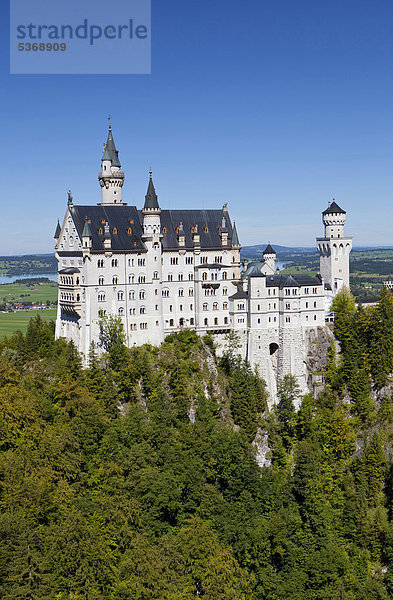 Schloss Neuschwanstein  Allgäu  Bayern  Deutschland  Europa