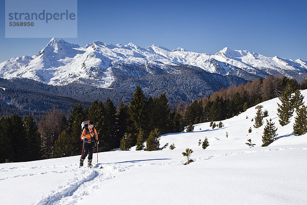 Skitourengeher beim Aufstieg zur Cima Bocche oberhalb vom Passo Valles  Dolomiten  hinten der Colbricon und die Lagoraigruppe  Trentino  Italien  Europa