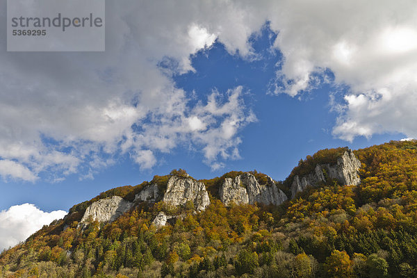 Ypsilonfels  Wagenburgfels  Adlerfels und Alte Hausener Wand von links  über der Donau  Kalksteinfelsen bei Hausen im Tal  Naturpark Obere Donau  Landkreis Sigmaringen  Baden-Württemberg  Deutschland  Europa