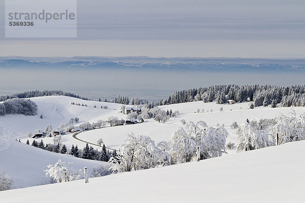 Der Weiler Gießhübel am Schauinsland  hinten die Vogesen  Schnee  am Schauinsland bei Freiburg im Breisgau  Schwarzwald  Baden-Württemberg  Deutschland  Europa