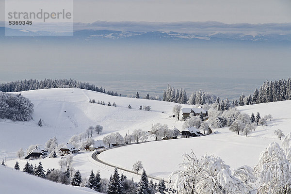 Der Weiler Gießhübel am Schauinsland  hinten die Vogesen  Schnee  bei Freiburg im Breisgau  Schwarzwald  Baden-Württemberg  Deutschland  Europa