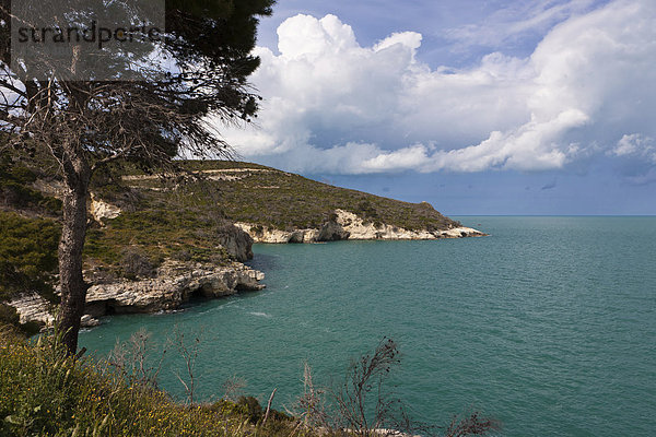 Küste bei Vieste  Provinz Foggia  Apulien  Puglia  Gargano  Adria  Italien  Europa