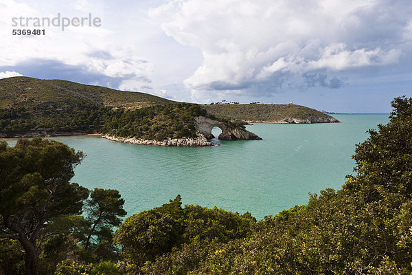 Küste bei Gargano  Architello San Felice  Spitze des Stiefelsporns  Provinz Foggia  Apulien  Puglia  Gargano  Adria  Italien  Europa