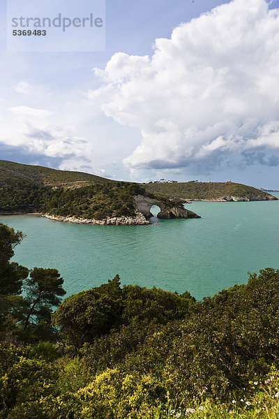 Küste bei Gargano  Architello San Felice  Spitze des Stiefelsporns  Provinz Foggia  Apulien  Puglia  Gargano  Adria  Italien  Europa