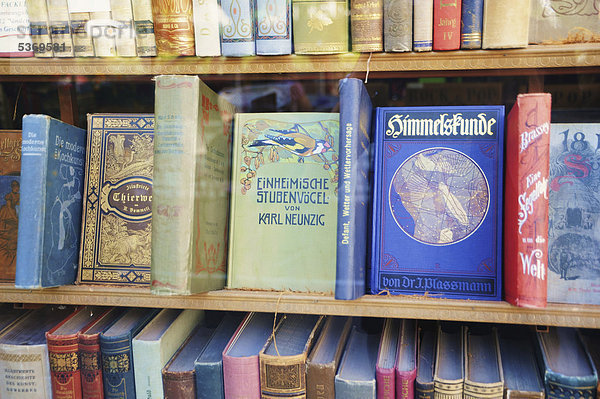 Bücherregal  Buchladen in der Altstadt von Wien  Österreich  Europa