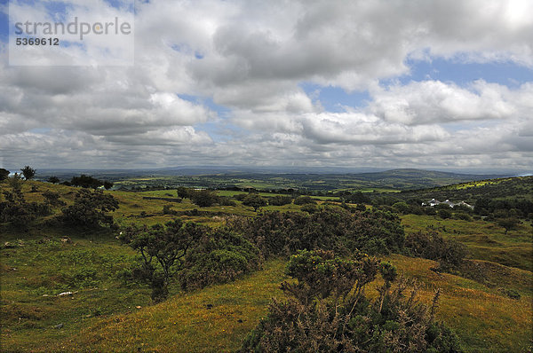 Landschaft in Dartmoor bei Minions  Dartmoor  Cornwall  England  Großbritannien  Europa