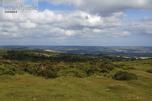 Blick von Haytor Dartmoor in die Landschaft von Dartmoor  Haytor Vale  Dartmoor  Devon  England  Großbritannien  Europa
