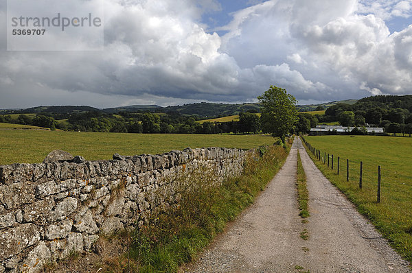 Feldweg zu einem Gehöft  links eine Trockenmauer aus Granitsteinen  Landschaft bei Whiddon Down  Cornwall  England  Großbritannien  Europa