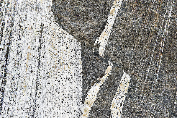 Schwarz-weiße Gesteinsstrukturen  am Mittivakkat-Gletscher  Halbinsel Ammassalik  Ostgrönland  Grönland