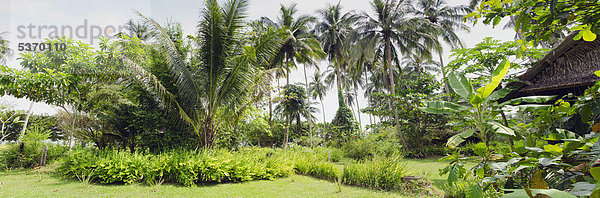 Tropischer Palmengarten  Lom Lae Resort  Insel Ko Yao Noi  Phang Nga  Thailand  Südostasien  Asien