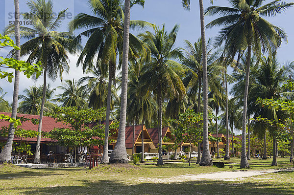 Season Bungalow Hotel unter Palmen  Golden Pearl Beach  Insel Ko Jum oder Ko Pu  Krabi  Thailand  Südostasien  Asien