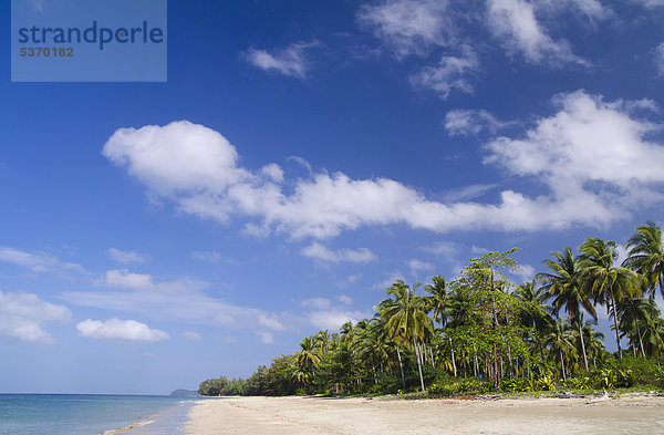 Palmenstrand Andaman Beach  Insel Ko Jum oder Ko Pu  Krabi  Thailand  Südostasien  Asien