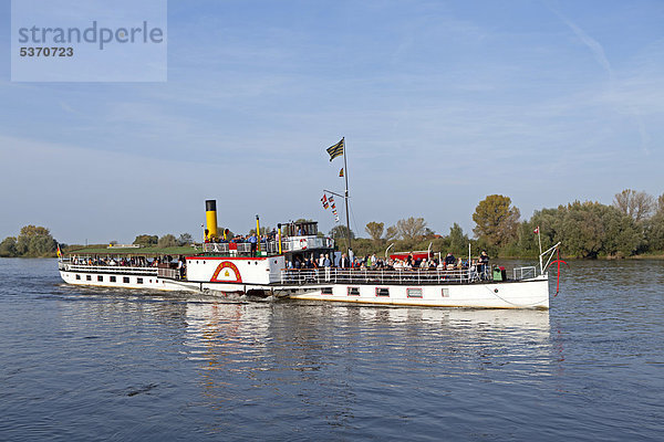 Raddampfer Kaiser Wilhelm  Elbe  Bleckede  Niedersachsen  Deutschland  Europa