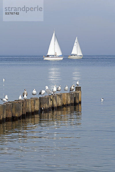 Europa Ostsee Baltisches Meer Deutschland Mecklenburg-Vorpommern