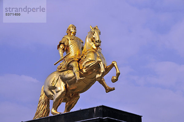 Goldener Reiter  Reiterstandbild August II. von Sachsen  August der Starke  Dresden  Freistaat Sachsen  Deutschland  Europa  ÖffentlicherGrund