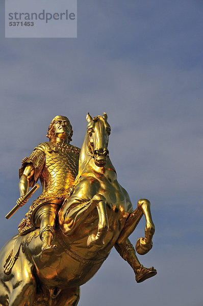 Goldener Reiter  Reiterstandbild August II. von Sachsen  August der Starke  Dresden  Freistaat Sachsen  Deutschland  Europa  ÖffentlicherGrund