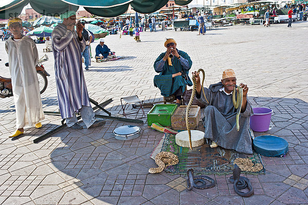 Schlangenbeschwörer auf der Djemaa el Fna  Platz der Gehenkten  Marrakesch  Marokko  Afrika