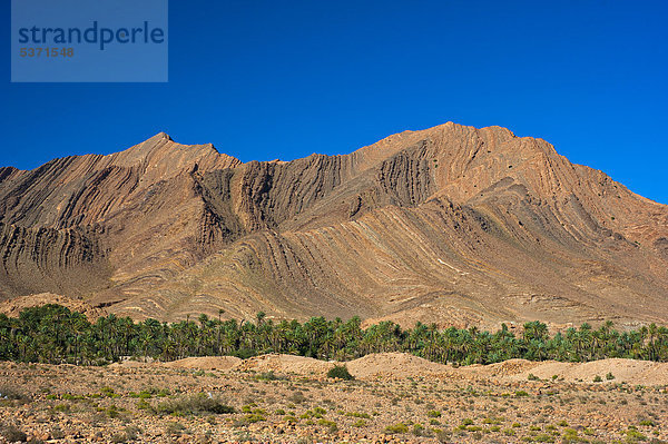 Imposante Berglandschaft mit erodierten Berghängen im Ait Mansour Tal  im ausgetrockenten Flussbett wachsen Dattelpalmen  Antiatlas  Südmarokko  Marokko  Afrika