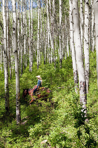 Frau auf Pferd durch Wald  Colorado  USA