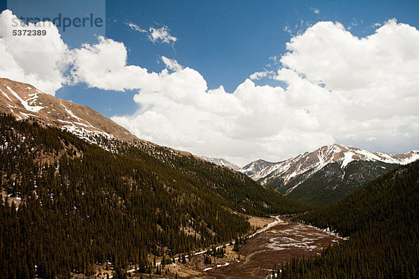 Berge von Independence Pass  Colorado  USA