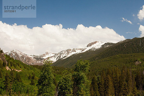 White River National Forest  Colorado  USA