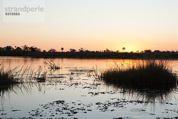 Sonnenuntergang auf dem Wasser im Okavango Delta  Botswana  Afrika