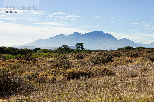 Winelands Südafrika in der Nähe von Stellenbosch  Drakenstein Bergkette in der Ferne