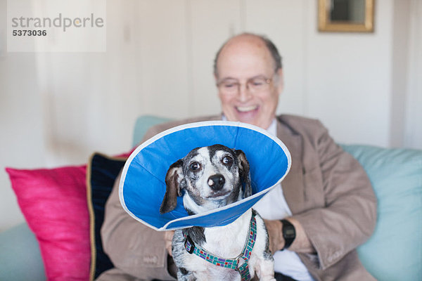 sitzend Senior Senioren Mann Couch Hund blau Kragen