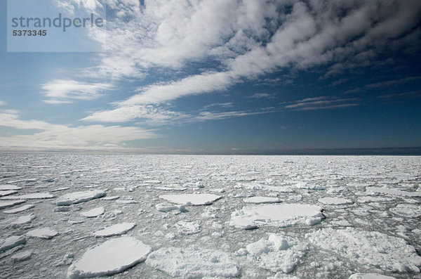Eisscholle  Spitzbergen  Norwegen  Vietnam