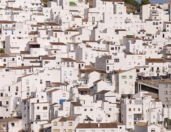 Spanien  Andalusien  Casares  Blick auf die weißen Häuser des Bergdorfes