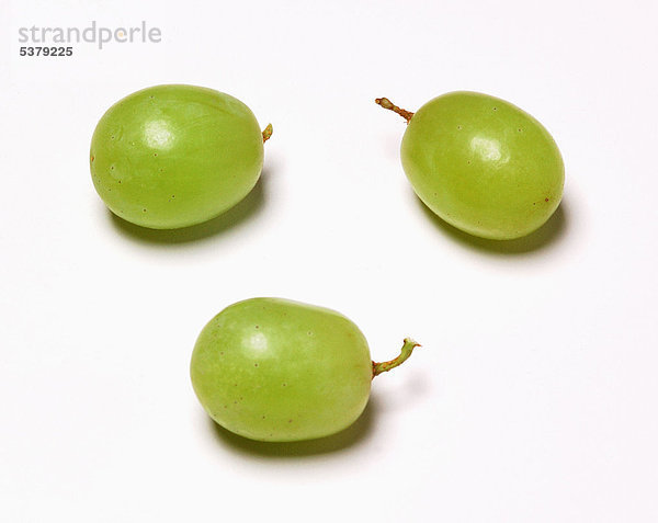 Grüne Trauben auf weißem Grund