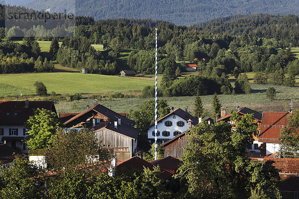 Deutschland  Bayern  Oberbayern  Region Pfaffenwinkel  Bad Bayersoien  Blick auf Waldgebiet mit Häusern und Bergen
