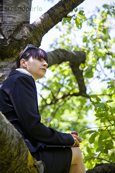 Geschäftsfrau im Baum sitzend