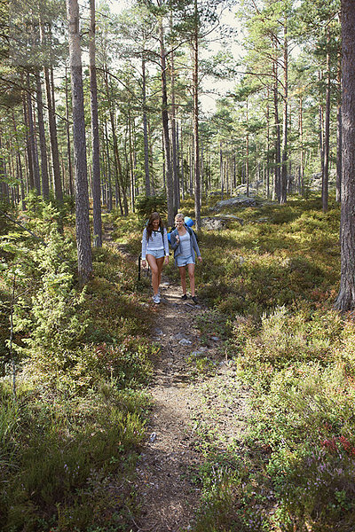 Zusammenhalt  Frau  Wald  wandern