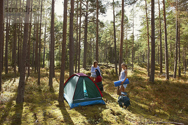 hoch  oben  Frau  Tischset  Wald  Campingplatz